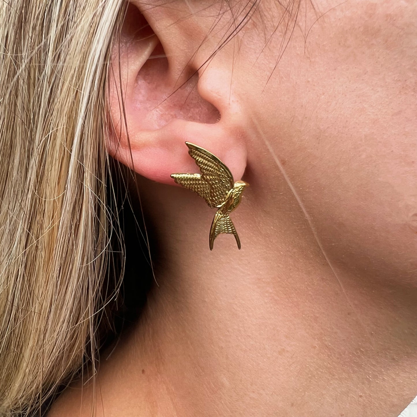 Colibrí