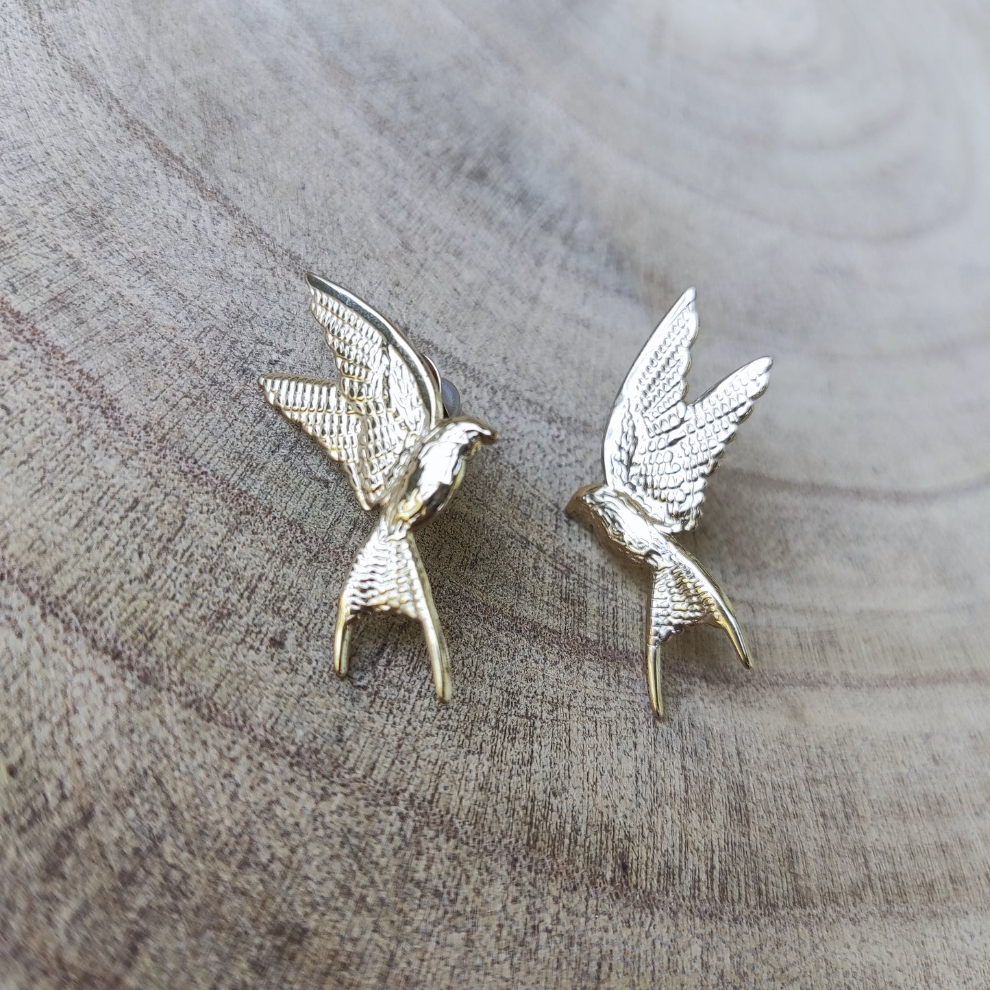 Colibrí