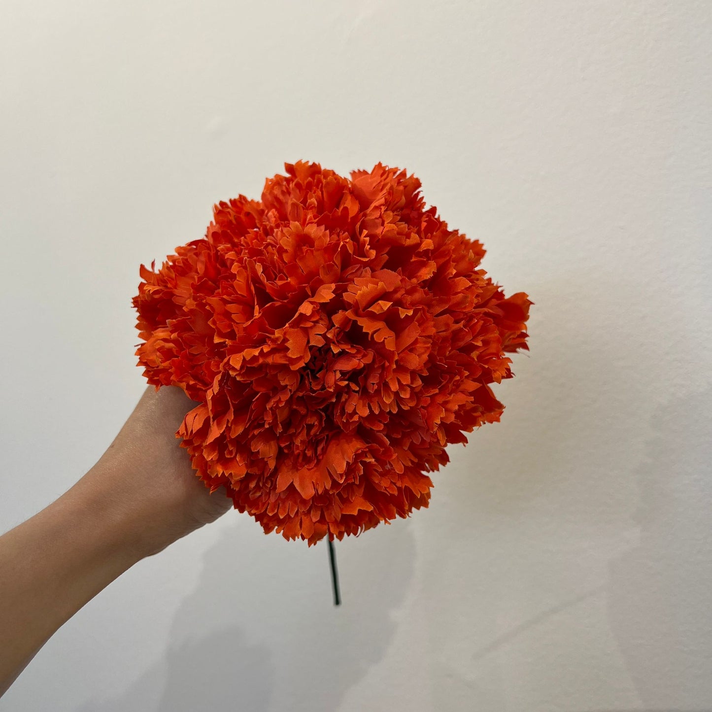 Clavel naranja