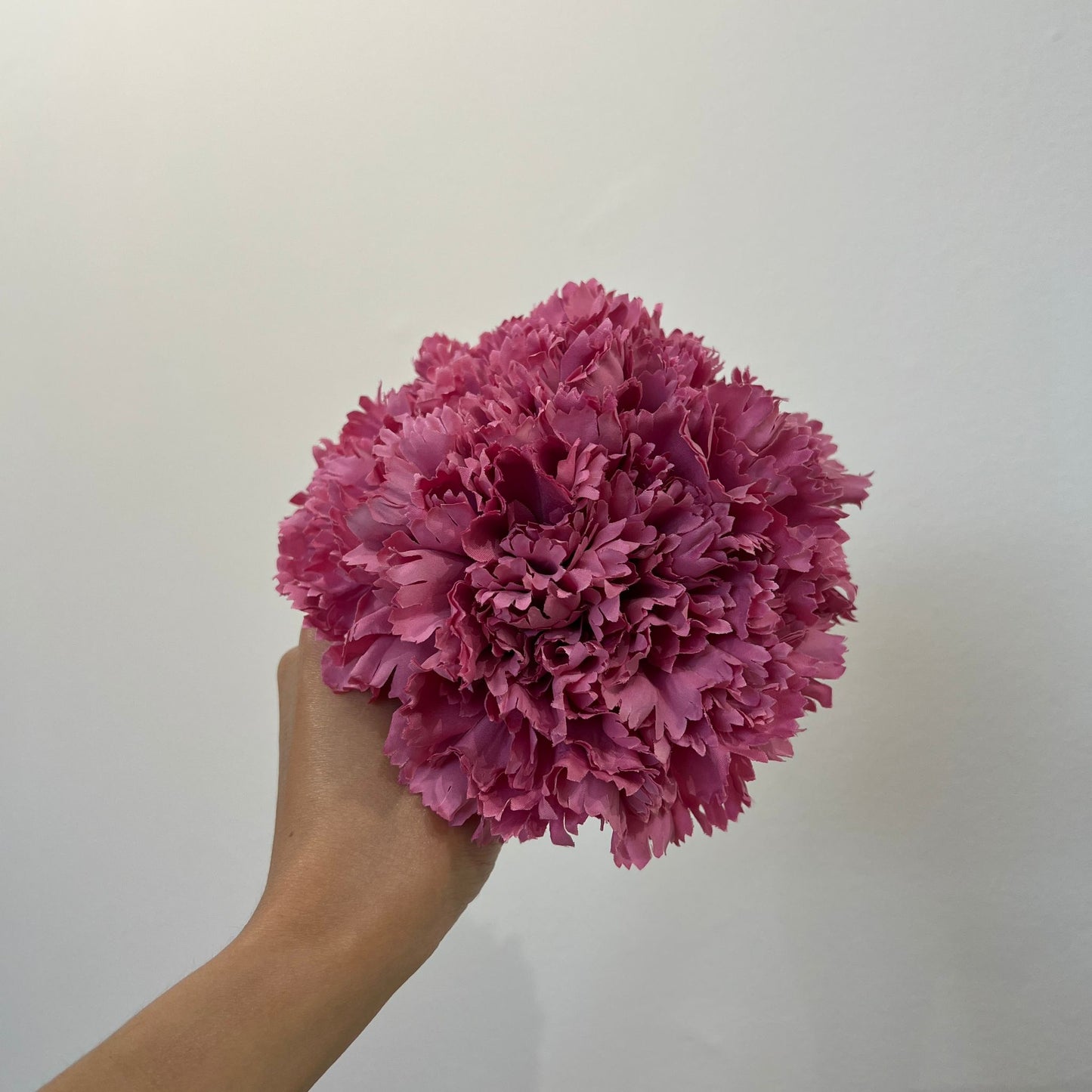 Clavel rosa chicle