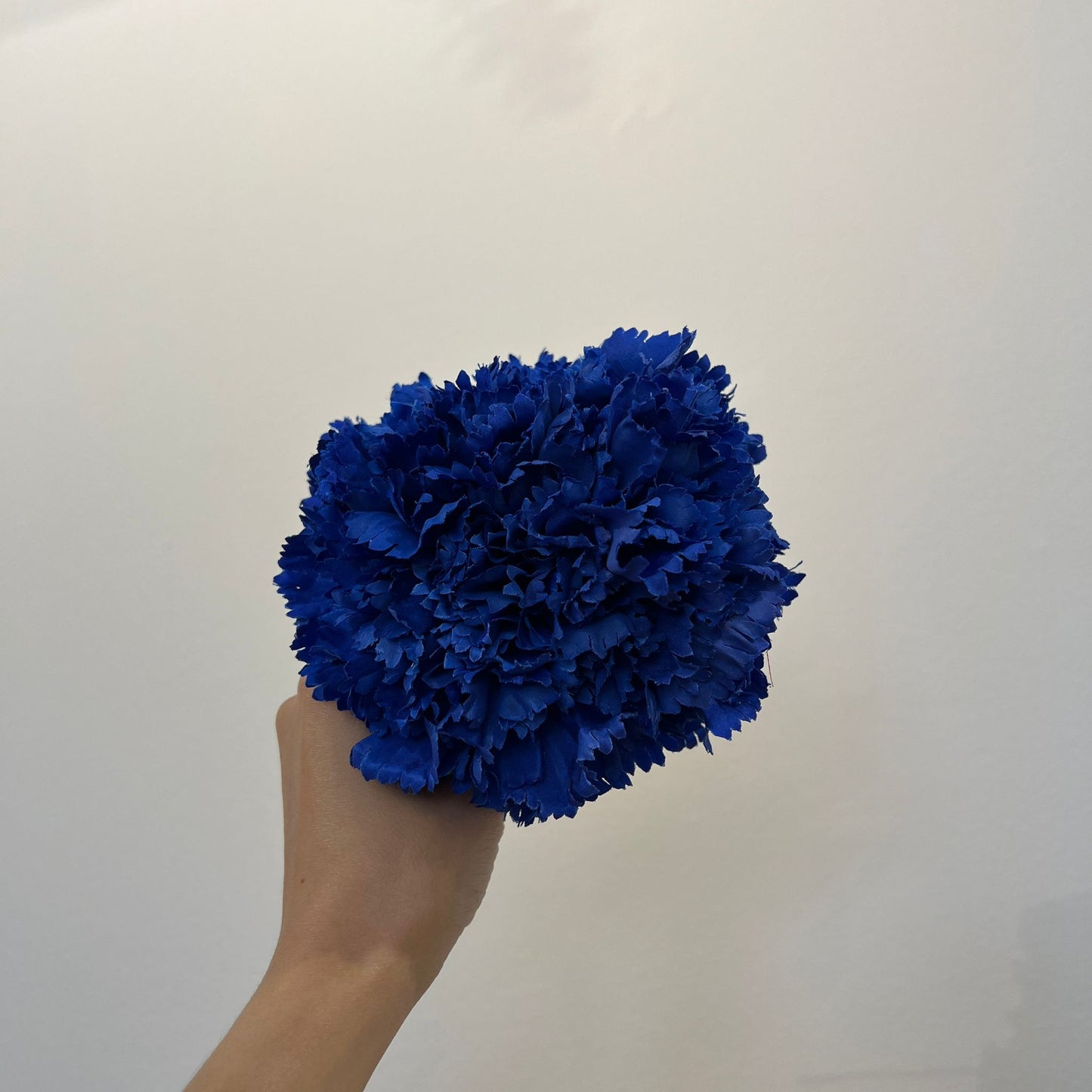Clavel azul oscuro