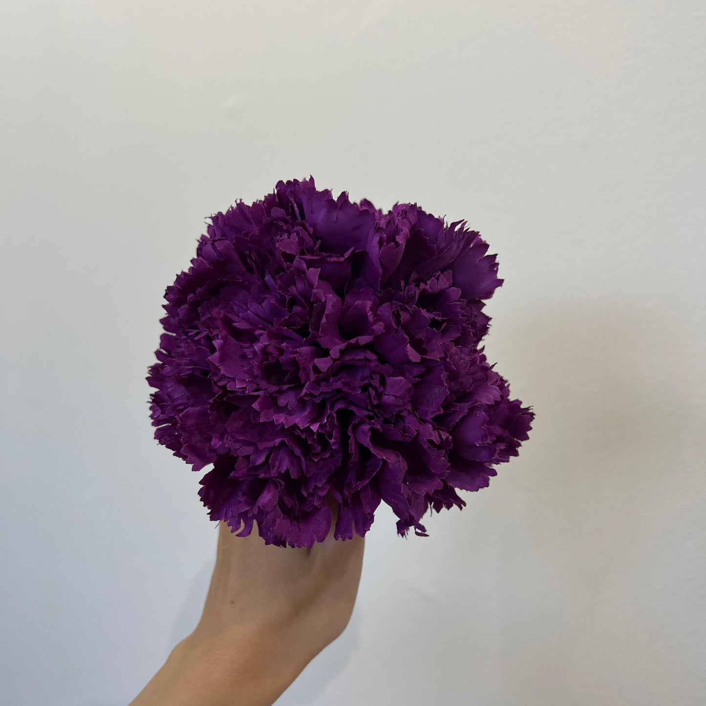 Clavel morado