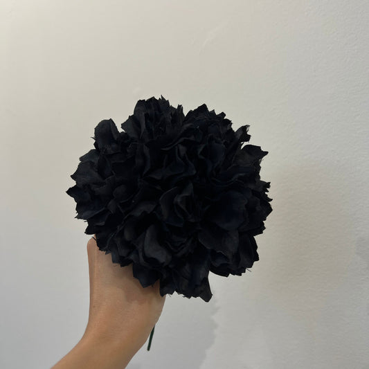Dalia negra