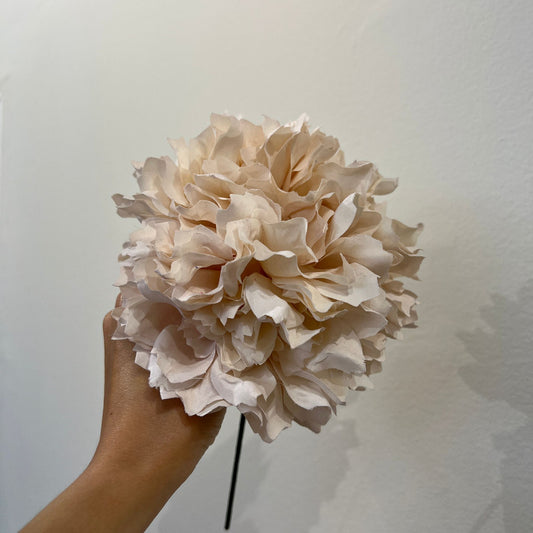 Dalia marfil
