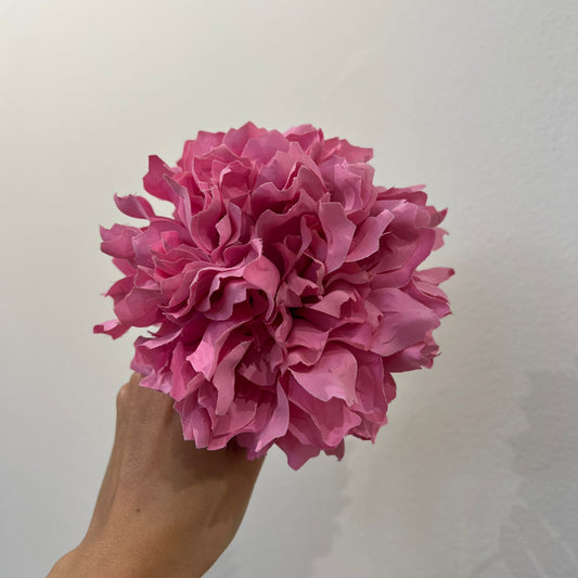 Dalia rosa chicle