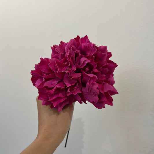 Dalia fucsia