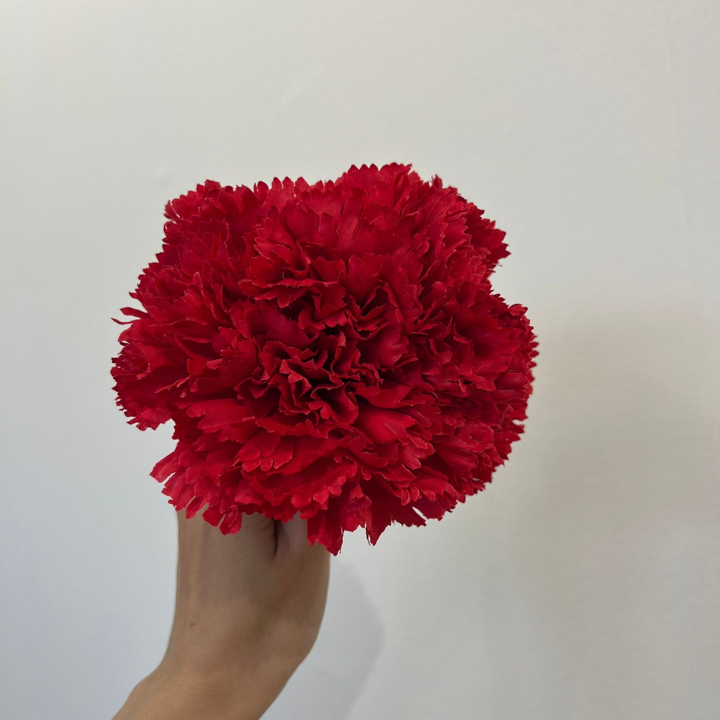 Clavel rojo
