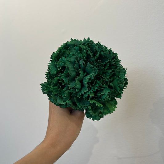 Clavel verde oscuro
