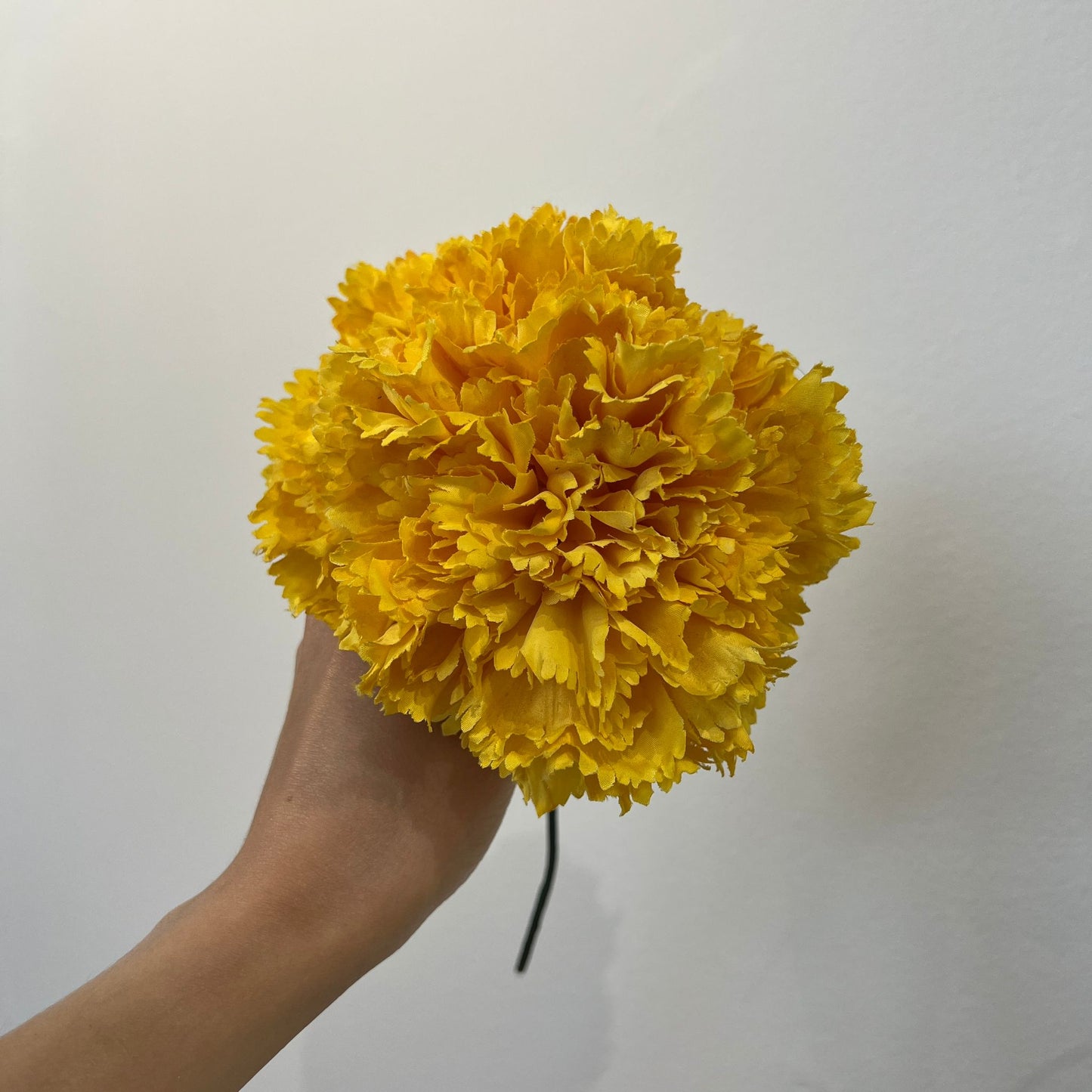 Clavel amarillo