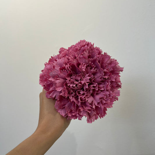 Clavel rosa chicle