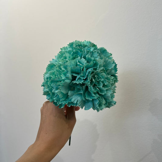 Clavel menta