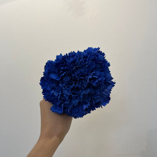 Clavel azul oscuro