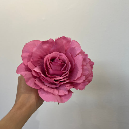 Rosa rosa chicle