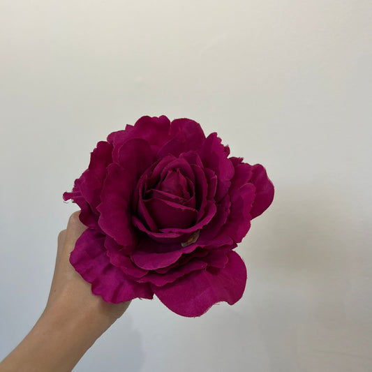 Rosa buganvilla