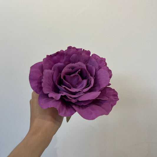 Rosa lila
