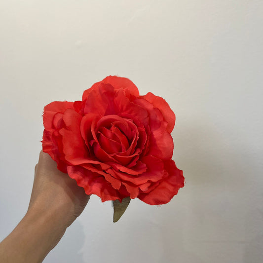Rosa coral
