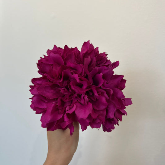 Dalia buganvilla